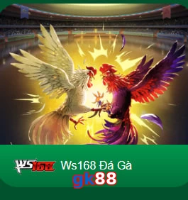 gk88